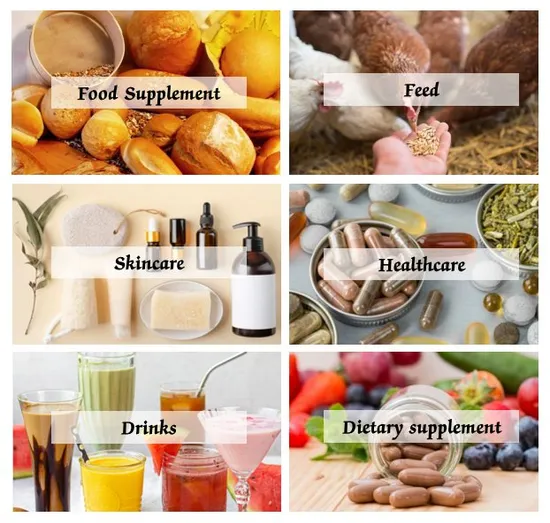 Levedura nutricional em pó fortificada com vitamina B12 a granel