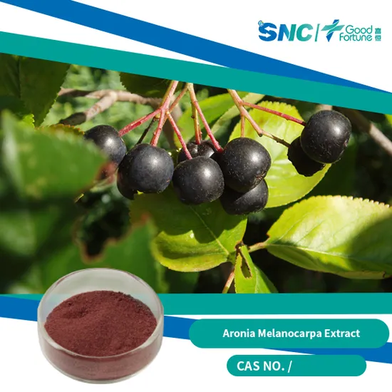 Suplemento de saúde: Aronia Melanocarpa Fruit Powder, rico em antioxidantes e nutrientes