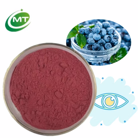 Melhore a saúde dos olhos e o suporte antioxidante com o pó de extrato de mirtilo premium