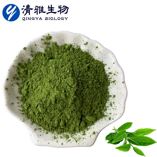Pó de Matcha Orgânico para Bebida Caseira Matcha em Pó Antioxidante Matcha