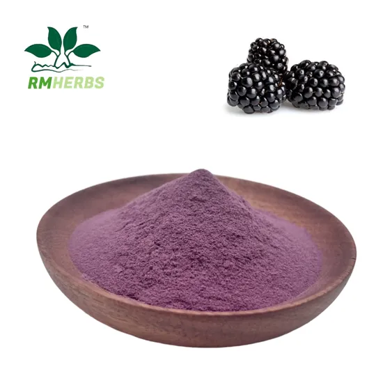 Extrato natural de amoreira em pó para suporte antioxidante em pó para beber