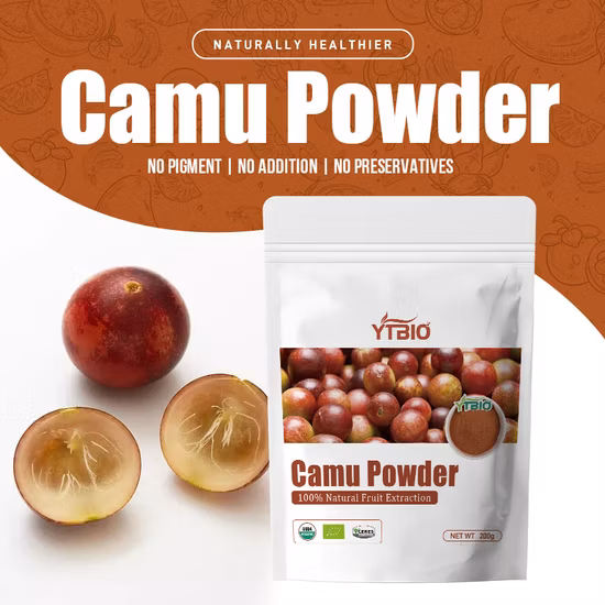 Fornecedor de fábrica de extrato de fruta de Camu em pó para bebida sólida antioxidante OEM ODM