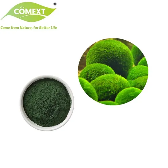 Comext Bulk Supply Antioxidante Melhora da Imunidade Spirulina em Pó Chlorella em Pó